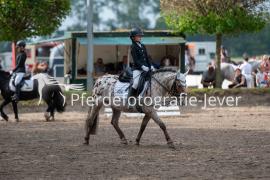 Turnier RuF Hooksiel, Sonntag, 08.09.2024 (Dressurplatz)